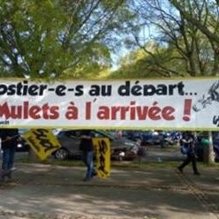 Les postiers de Castanet-Tolosan entament leur troisième semaine de grève.