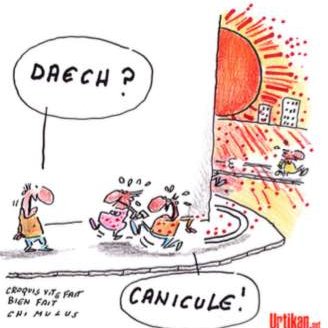 Canicule : des mesures très en-deçà
