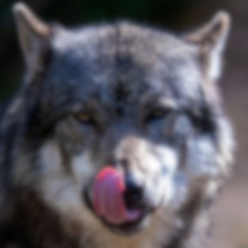 Activité et chômage partiel : quand c'est flou c'est qu'il y a un loup !