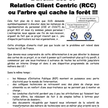 L'avenir des UI Relation Client Centric (RCC) ou l'arbre qui cache la forêt !!! 